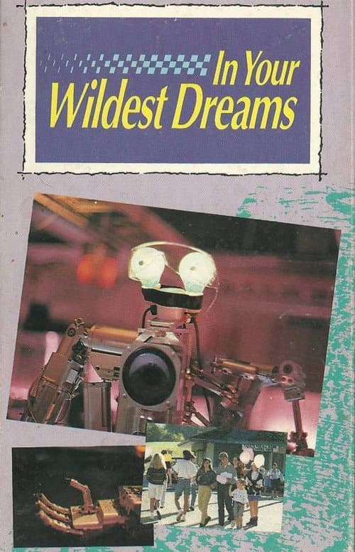 Affiche du film In Your Wildest Dreams (1991)