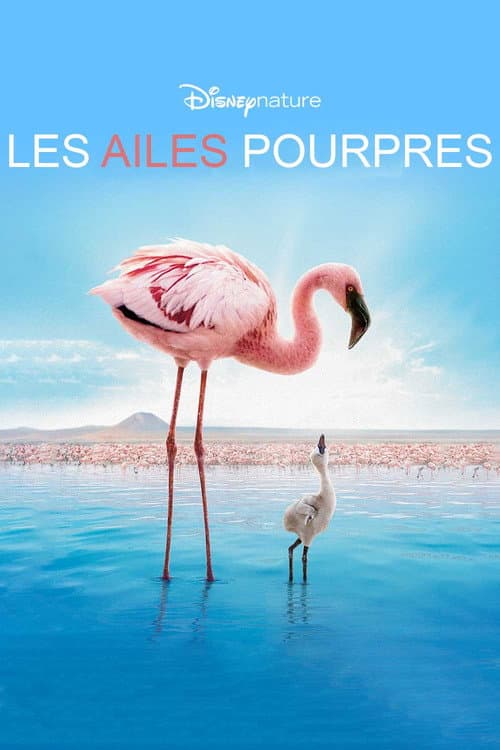 Affiche du film The Crimson Wing: Mystery of the Flamingos (2008)
