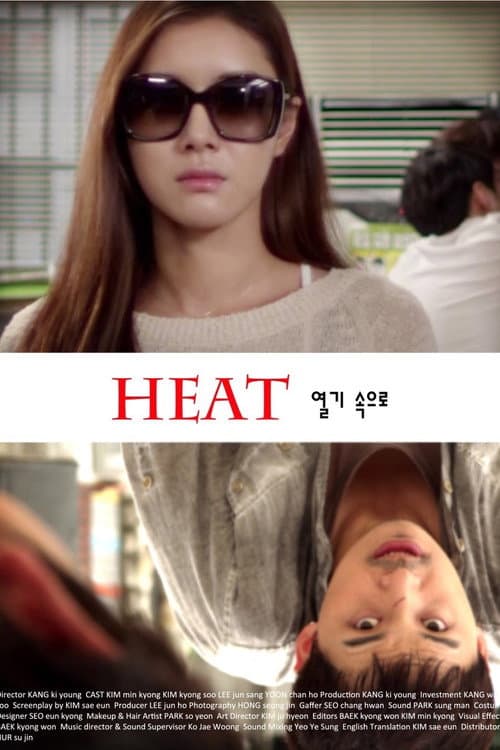열기 속으로 (2013) movie poster