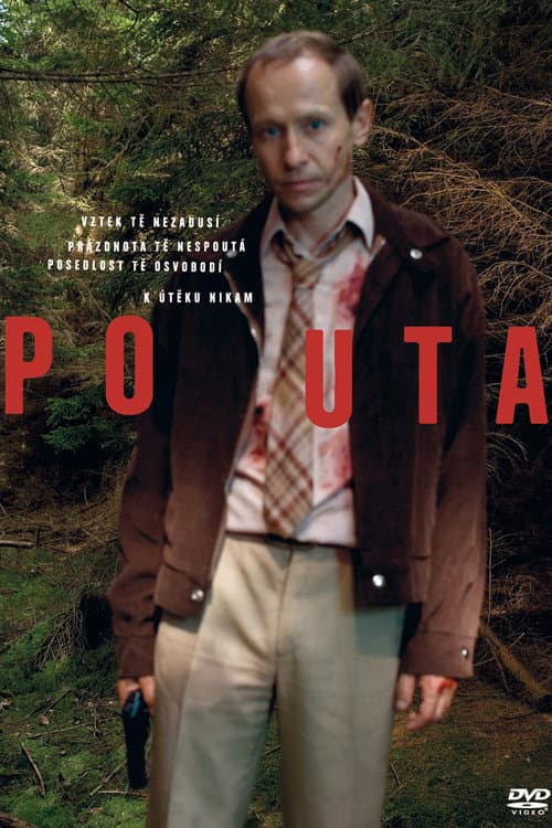 Affiche du film Pouta (2010)