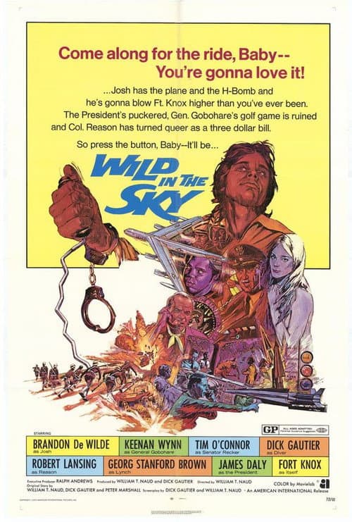Wild in the Sky (1972) movie poster