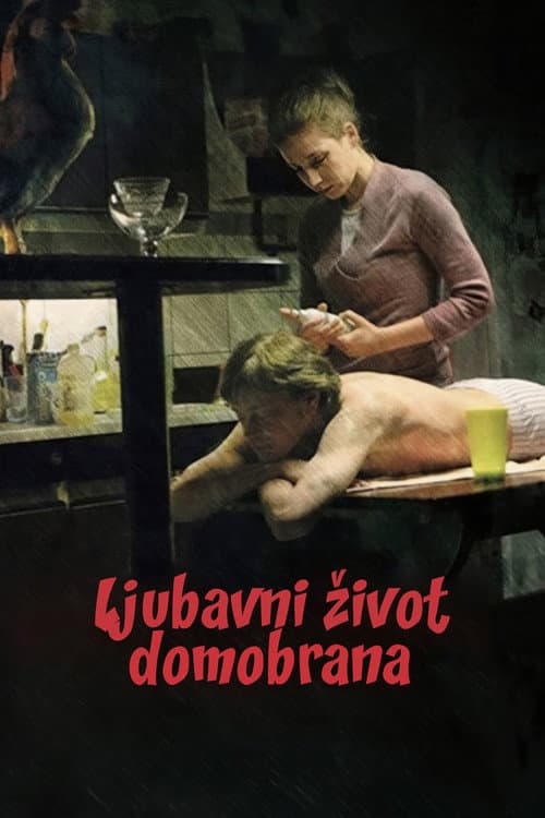 Affiche du film Ljubavni život domobrana (2009)