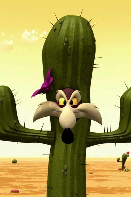 Camo-Coyote (2011) movie poster