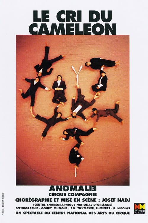 Affiche du film Le Cri du Caméléon (1997)