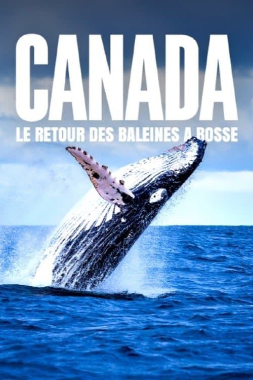 Le retour des baleines à bosse (2025) movie poster