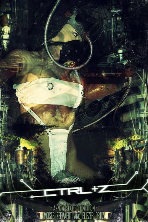 CTRL + Z (2009) movie poster