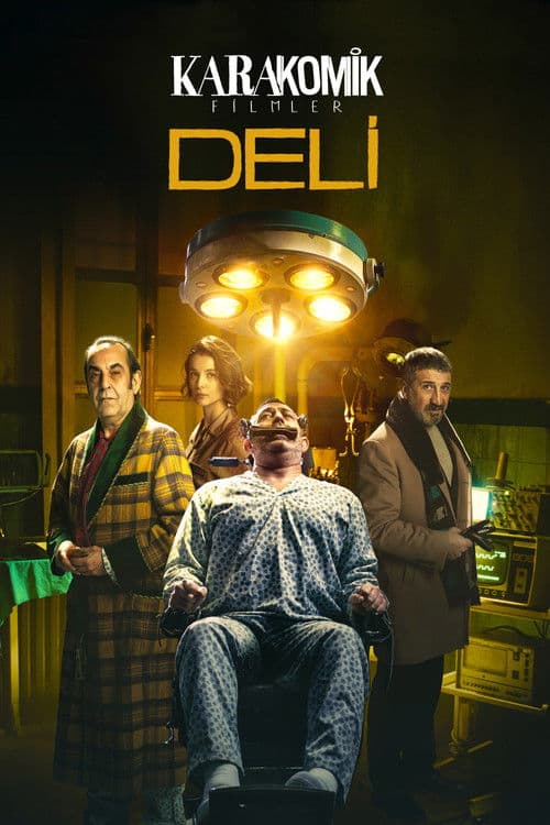 Affiche du film Karakomik Filmler 2: Deli (2020)