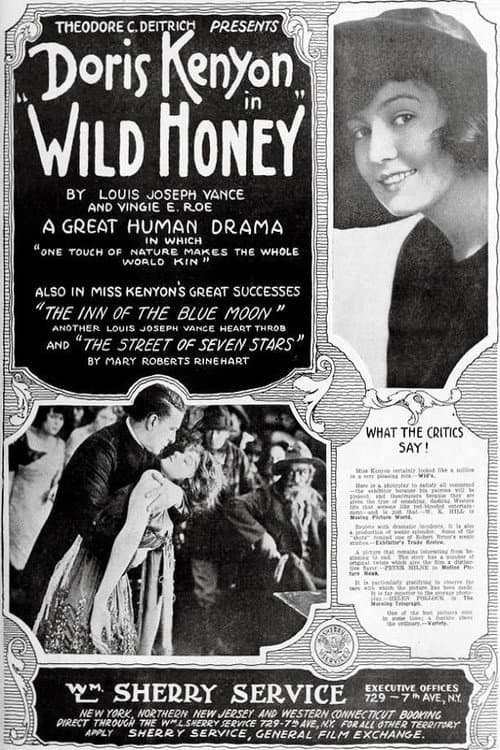 Affiche du film Wild Honey (1918)