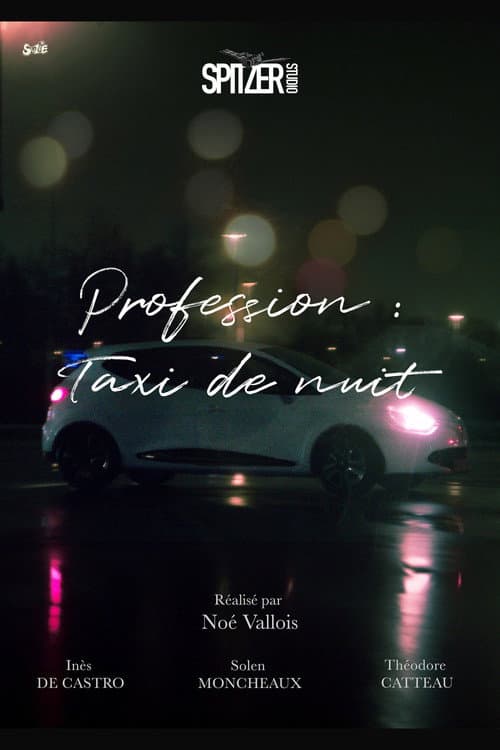 Affiche du film Profession : Taxi de nuit (2024)