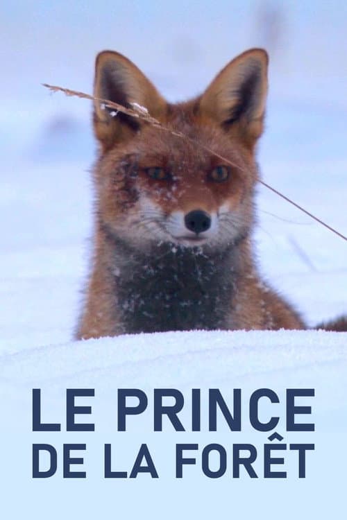 Le Prince de la forêt (2024) movie poster