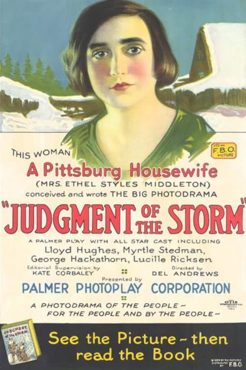 Affiche du film Judgment of the Storm (1924)