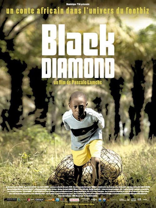 Affiche du film Black Diamond (2010)