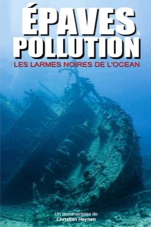 Affiche du film Vergessene Wracks (2017)