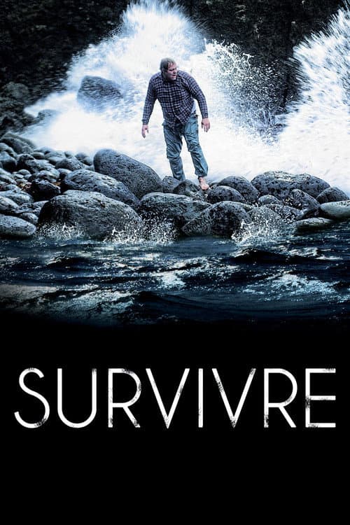 Affiche du film Djúpið (2012)