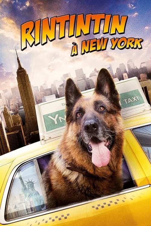 Affiche du film Cool Dog (2010)