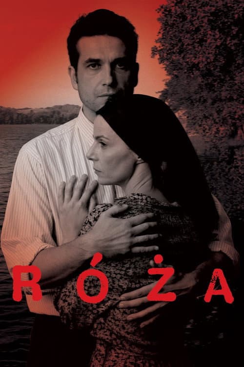 ملصق فيلم Róża (2012)