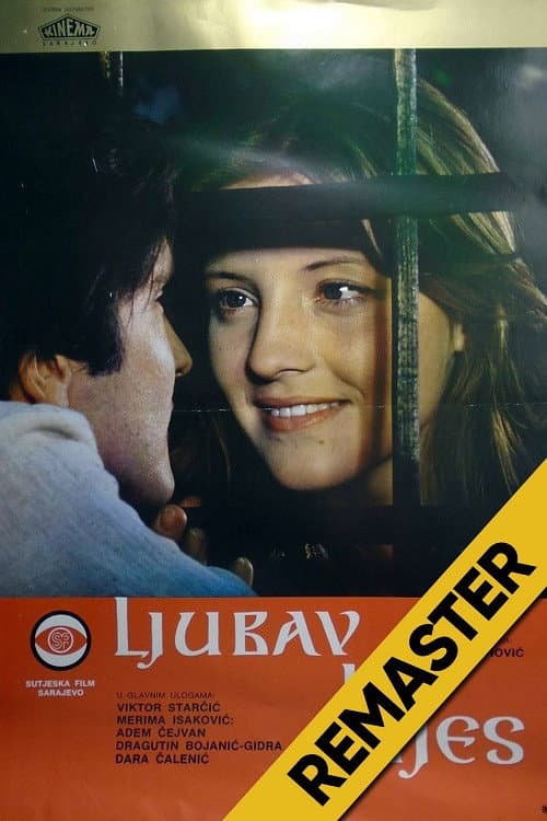 Ljubav i bijes (1978) movie poster