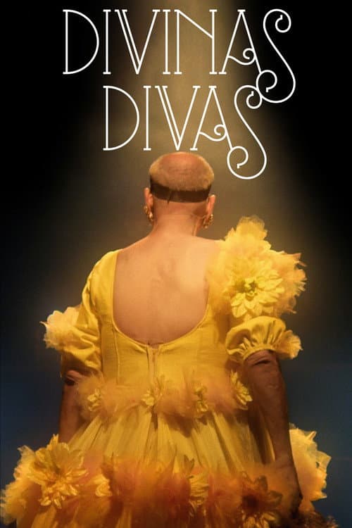 ملصق فيلم Divinas Divas (2016)