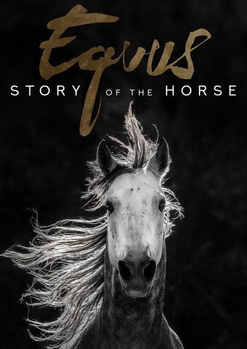 Equus, une histoire de chevaux et d'hommes (2019) movie poster