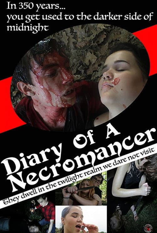 ملصق فيلم Diary of a Necromancer (2017)