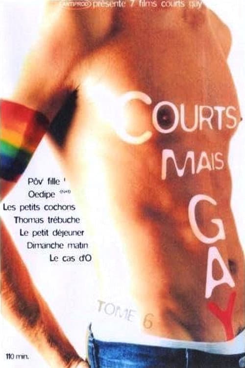 ملصق فيلم Courts mais Gay : Tome 6 (2003)