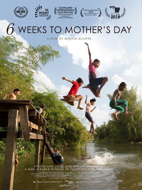 6 Weeks to Mother's Day (2017) movie poster