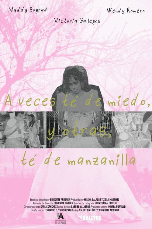 A veces té de miedo, y otras, té de manzanilla (2024) movie poster