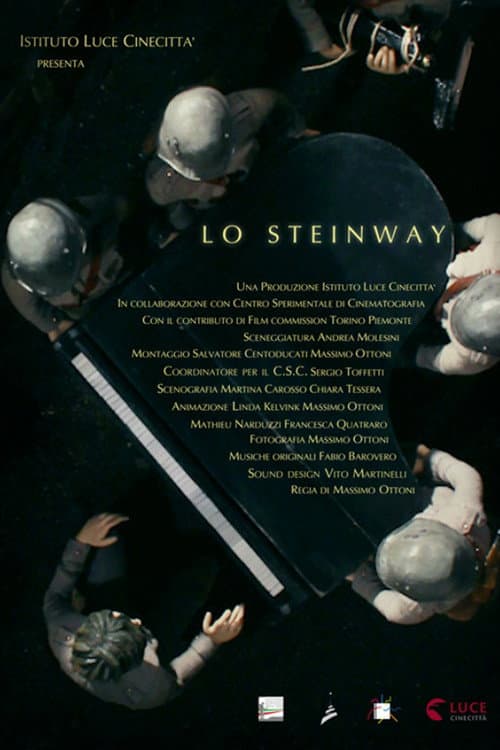 Affiche du film Lo Steinway (2016)
