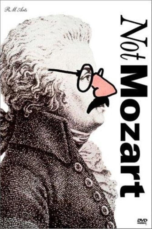 ملصق فيلم Not Mozart: Letters, Riddles and Writs (1991)
