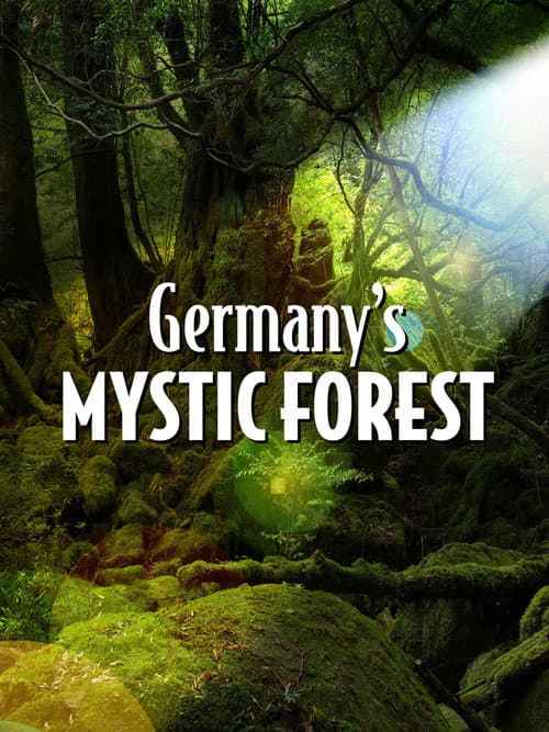 ملصق فيلم Wildes Bergisches Land (2020)