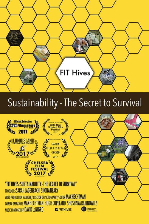 Affiche du film FIT Hives: Sustainability - The Secret to Survival (2017)
