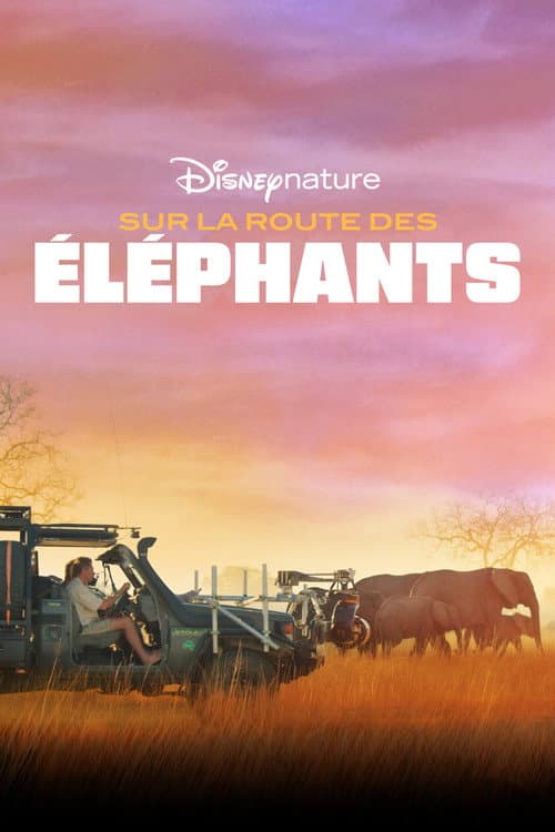 Affiche du film In the Footsteps of Elephant (2020)