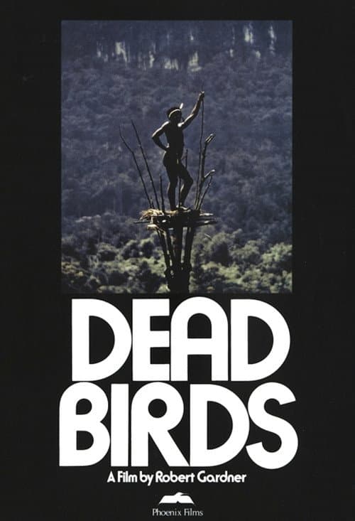Dead Birds (1963) movie poster