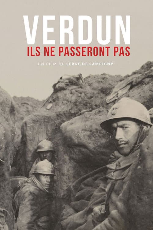 Affiche du film Verdun, ils ne passeront pas (2016)