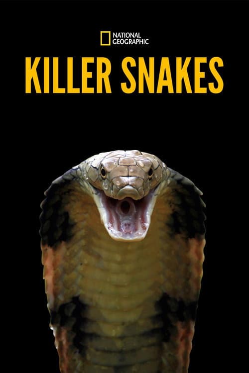 Killer Snakes (2021) movie poster
