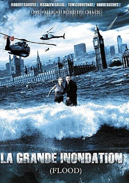 Affiche du film Flood (2007)