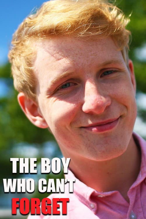 The Boy Who Can't Forget (2012) movie poster