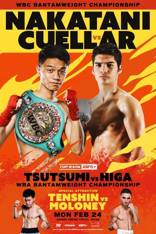 PRIME VIDEO BOXING 11 (2025) movie poster