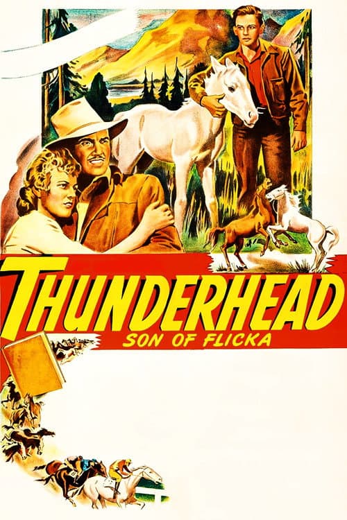 Affiche du film Thunderhead: Son of Flicka (1945)