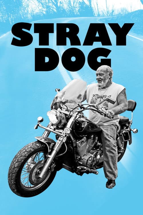 Stray Dog (2014) movie poster