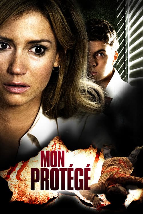 Affiche du film A Teacher's Crime (2008)