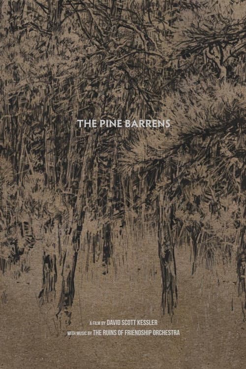 The Pine Barrens (2019) movie poster