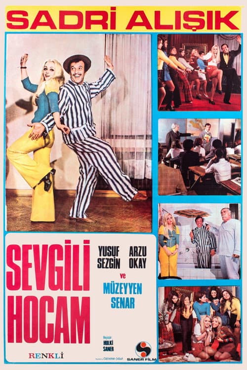 Affiche du film Sevgili Hocam (1972)