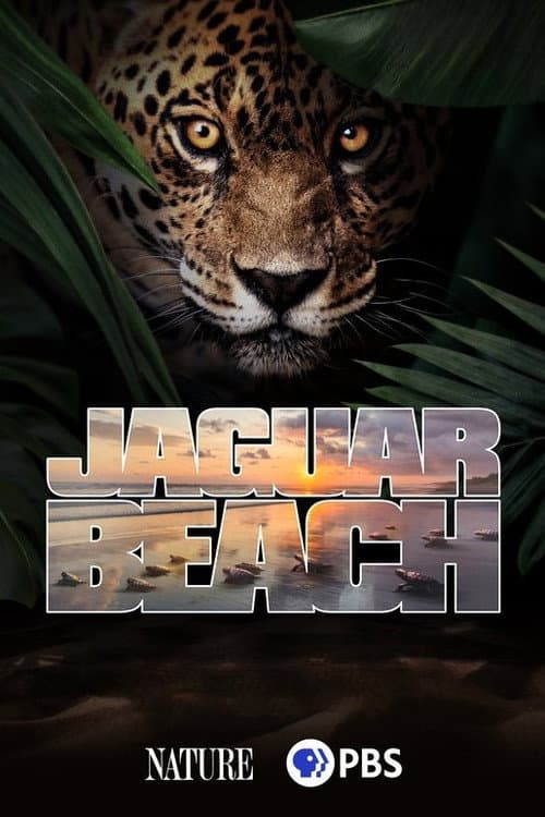 Affiche du film Jaguar Beach (2025)
