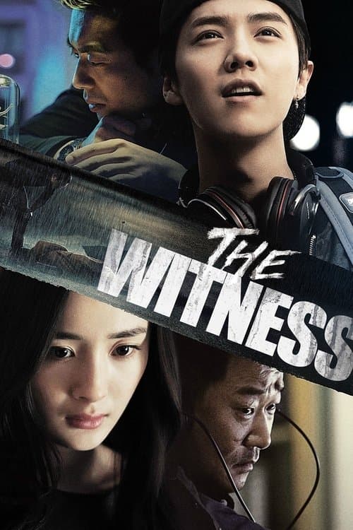 我是证人 (2015) movie poster