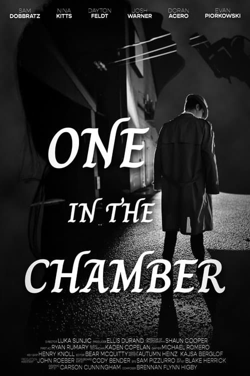 Affiche du film One In The Chamber (2025)