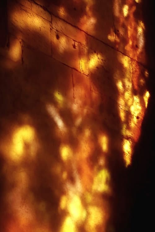 Affiche du film Chaînes Dorées (2025)