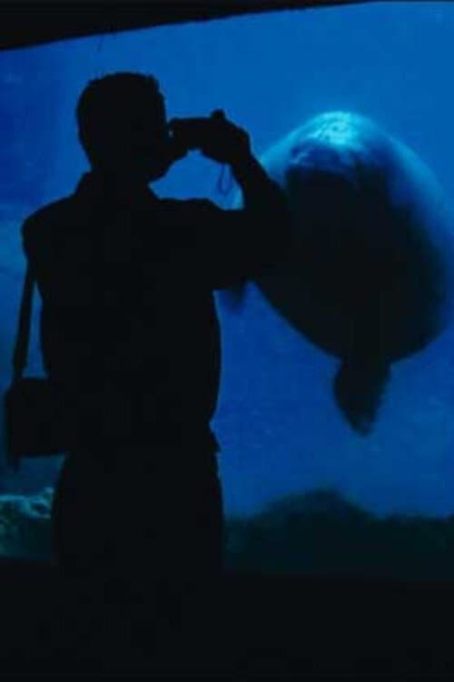 The Aquarium (2006) movie poster