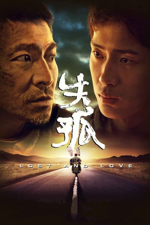 ملصق فيلم 失孤 (2015)