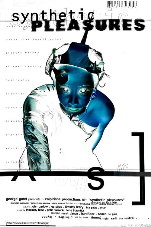 Synthetic Pleasures (1995) movie poster